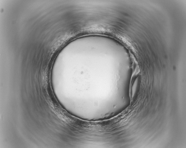 X0000086950487200705071447