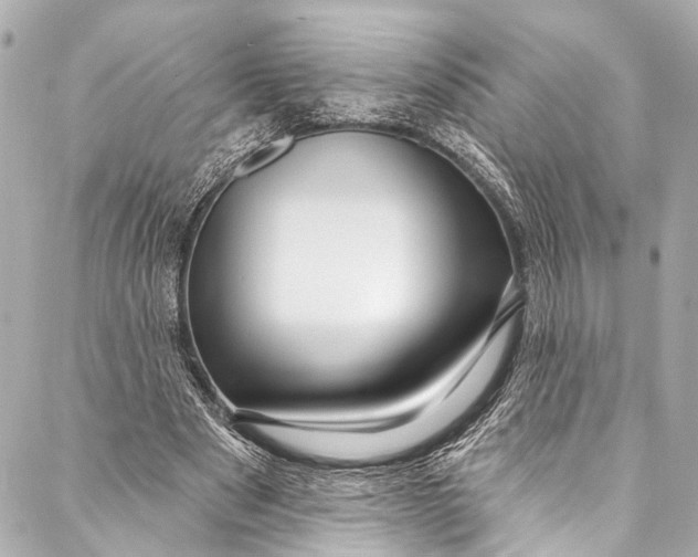 X0000086950489200705071447