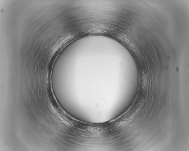 X0000086950490200705071447