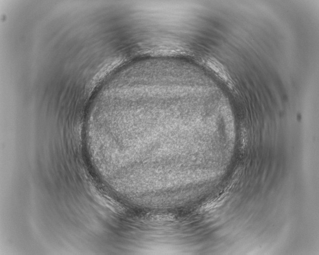 X0000086950491200705071447