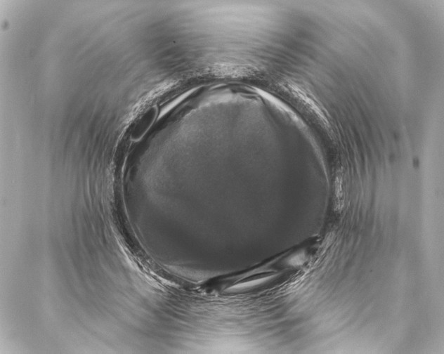 X0000086950492200705071447