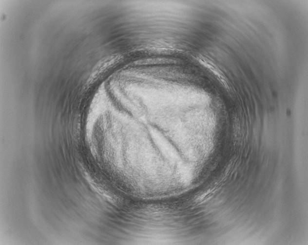 X0000086950494200705071447