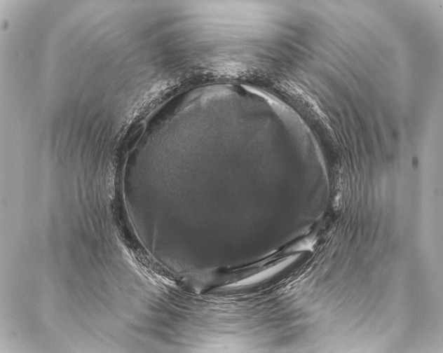 X0000086950496200705071447