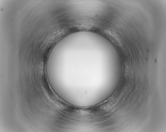 X0000086950498200705071447