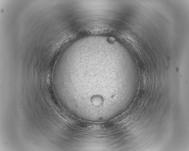 X0000086950499200705071447