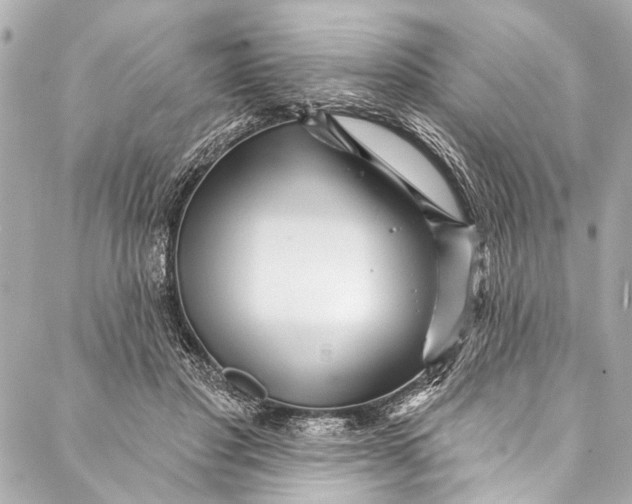 X0000086950501200705071446