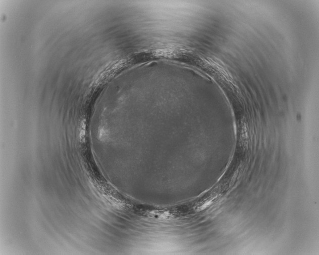 X0000086950502200705071446