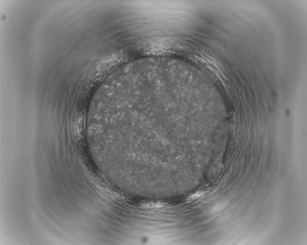 X0000086950503200705071446