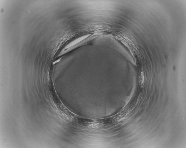 X0000086950504200705071446