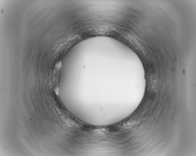 X0000086950505200705071446