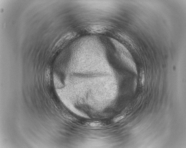 X0000086950506200705071446