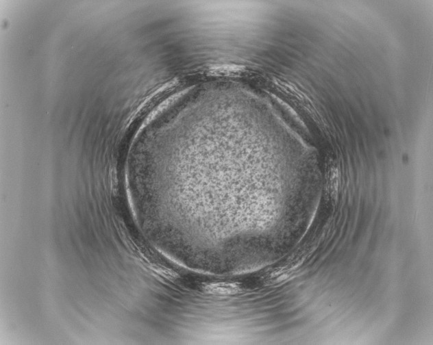 X0000086950508200705071446