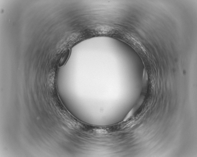 X0000086950509200705071446