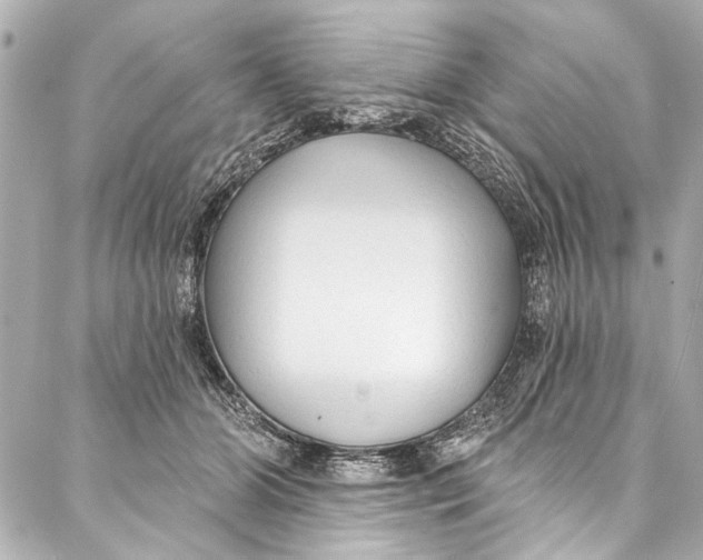 X0000086950510200705071446