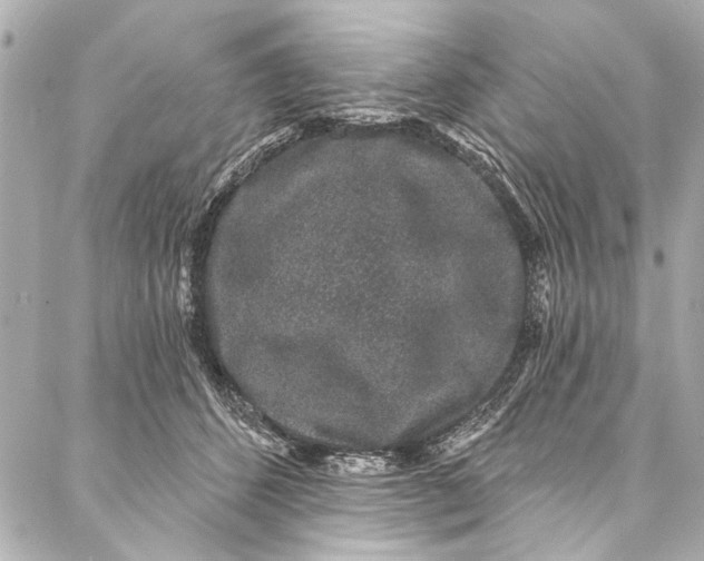 X0000086950512200705071446