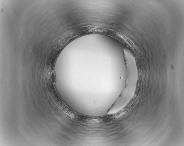 X0000086950513200705071446