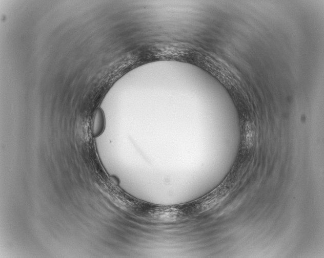 X0000086950514200705071446