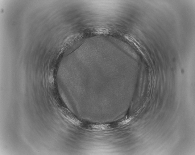 X0000086950516200705071446