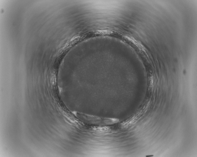 X0000086950517200705071446