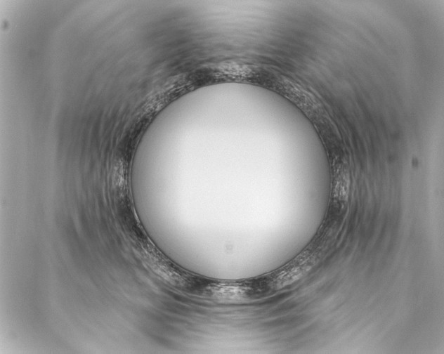 X0000086950518200705071446