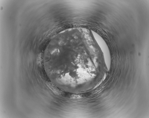 X0000086950519200705071446