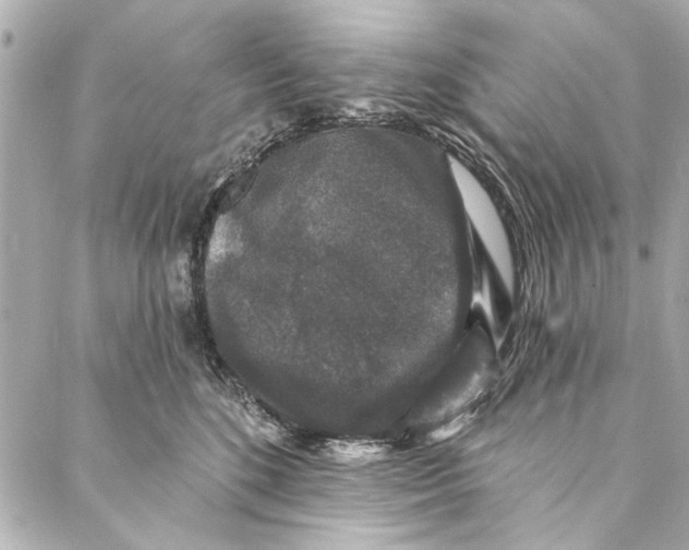 X0000086950520200705071446