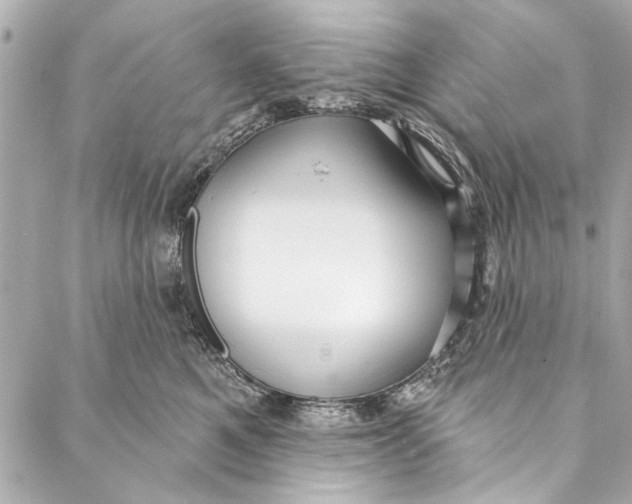 X0000086950521200705071446