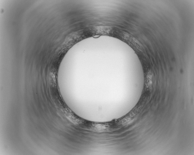 X0000086950522200705071446