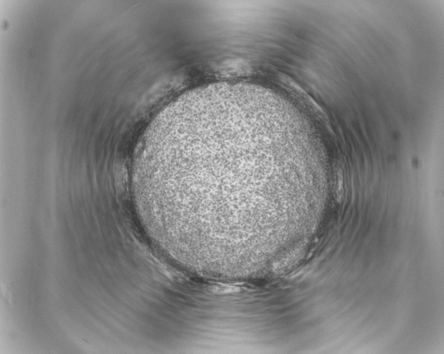 X0000086950523200705071446