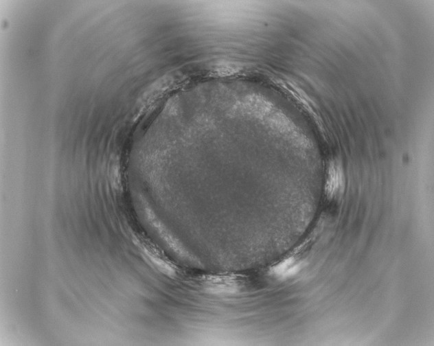 X0000086950524200705071446