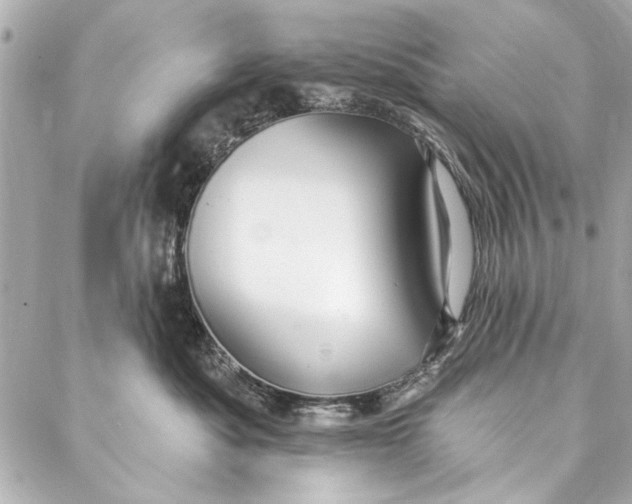 X0000086950525200705071446