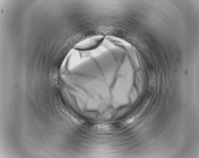 X0000086950526200705071446