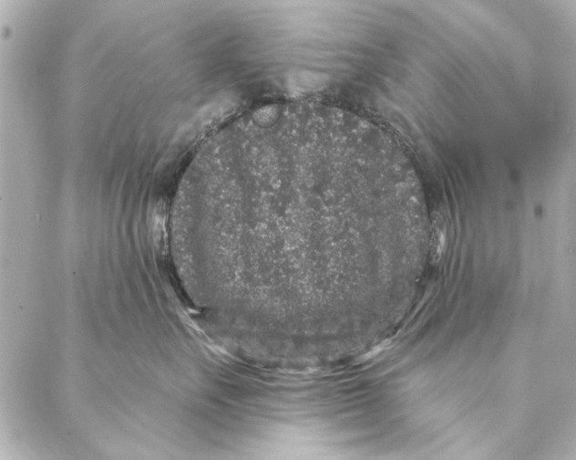 X0000086950527200705071446