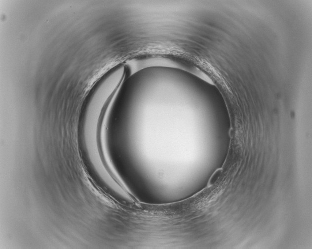 X0000086950530200705071445