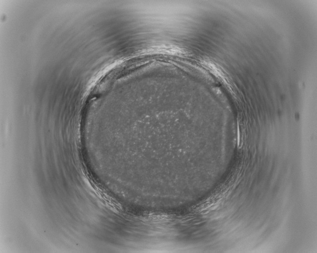 X0000086950531200705071445