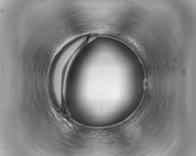 X0000086950532200705071445