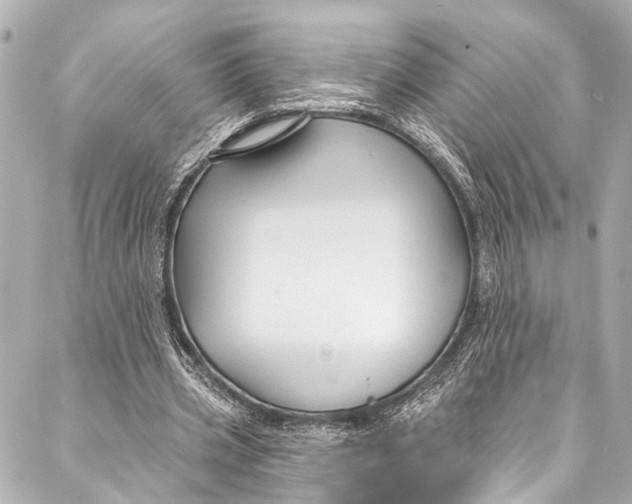 X0000086950533200705071445