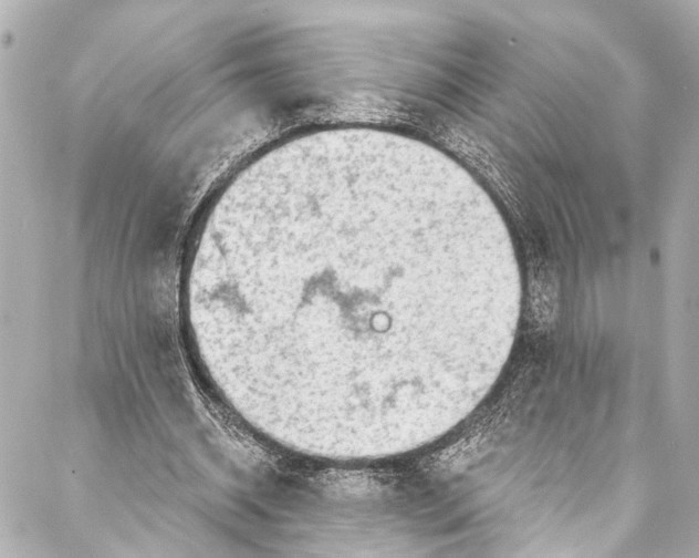 X0000086950534200705071445