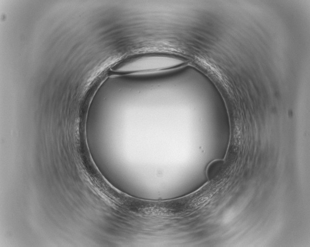 X0000086950535200705071445