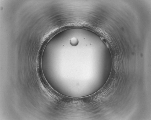 X0000086950536200705071445