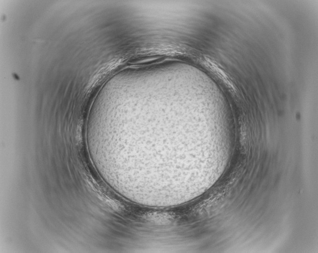 X0000086950537200705071445