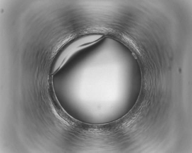 X0000086950538200705071445