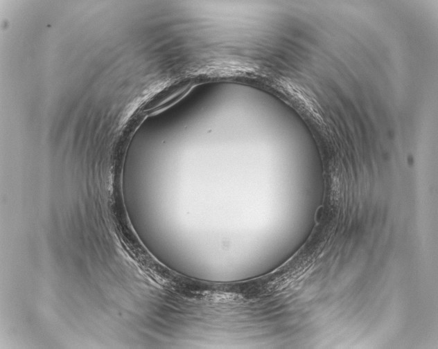 X0000086950539200705071445