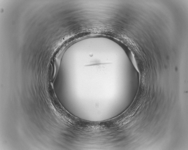 X0000086950540200705071445