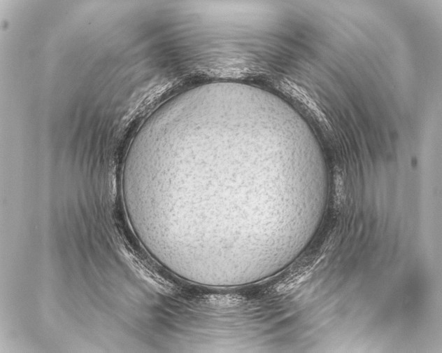 X0000086950541200705071445