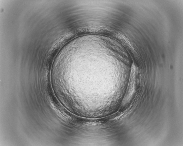 X0000086950542200705071445