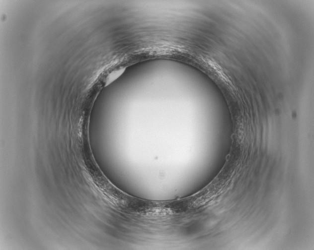 X0000086950543200705071445