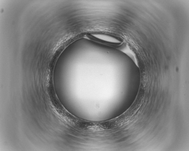 X0000086950544200705071445