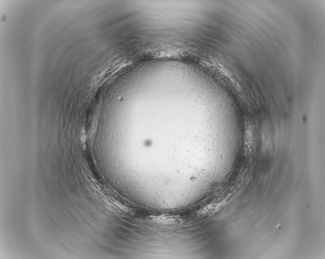 X0000086950545200705071446