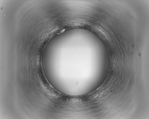 X0000086950546200705071446